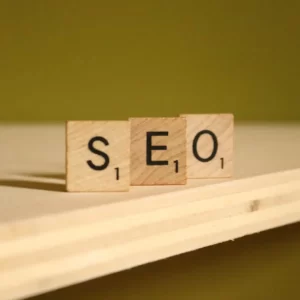evolutie seo