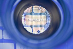 Search button